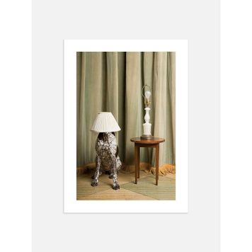 POSTER POSTERY HIDE AND SEEK 50x70CM
