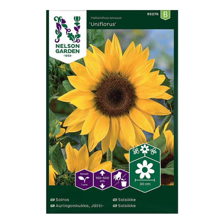 BLOMFRÖ NELSON GARDEN SOLROS UNIFLORUS | BAUHAUS