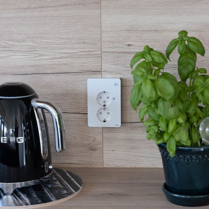 v-gguttag-schneider-electric-exxact-2-v-gs-med-ene-bauhaus