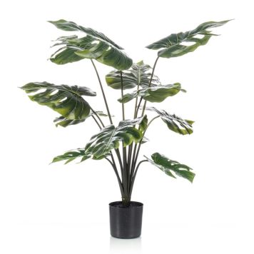 MONSTERA I KRUKA 80 CM
