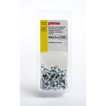 BLECKSPIK PINTOS 30X2,5MM VIT 100 ST/FP