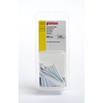 LISTSPIK PINTOS 60MM VIT 30ST/FP