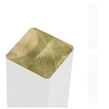 LIMTRÄSTOLPE PLUS TRYCKIMPREGNERAD VIT 9X9X207 CM