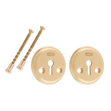 NYCKELSKYLT ASSA ABLOY 2991 MATT MÄSSING