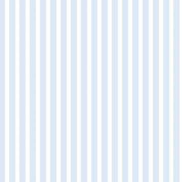 FÖNSTERFILM D-C-FIX LINIA 67,5X150CM