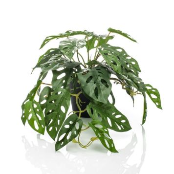 KONSTVÄXT EMERALD MONSTERA I KRUKA 55CM 