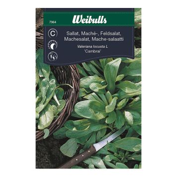 GRÖNSAKSFRÖ WEIBULLS SALLAT MACHÉ