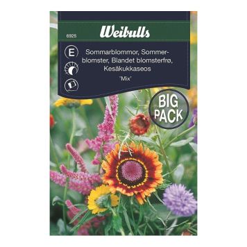 BLOMFRÖ WEIBULLS SOMMARBLOMMOR STORPORT