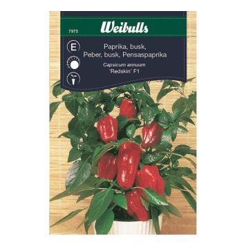 GRÖNSAKSFRÖ WEIBULLS PAPRIKA BUSK