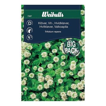 BLOMFRÖ WEIBULLS KLÖVER VITKLÖVER STORPORT