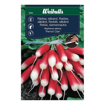 GRÖNSAKSFRÖ WEIBULLS RÄDISA PERNOT CLAIR