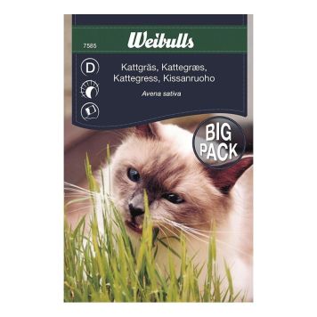 KATTGRÄS WEIBULLS STORPORT