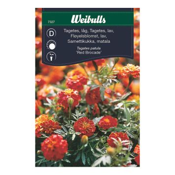 BLOMFRÖ WEIBULLS TAGETES RED BROCADE
