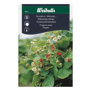 GRÖNSAKSFRÖ WEIBULLS SMULTRON MÅNADSSMULTRON