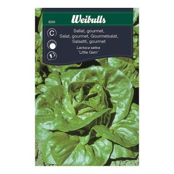 GRÖNSAKSFRÖ WEIBULLS SALLAT GOURMET