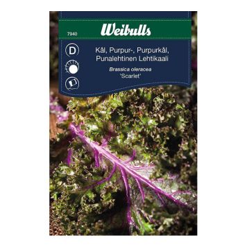 GRÖNSAKSFRÖ WEIBULLS KÅL PURPUR SCARLETT