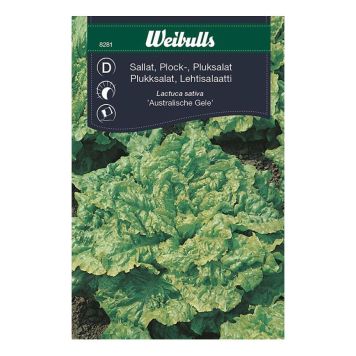 GRÖNSAKSFRÖ WEIBULLS SALLAT PLOCK AUSTR GELE