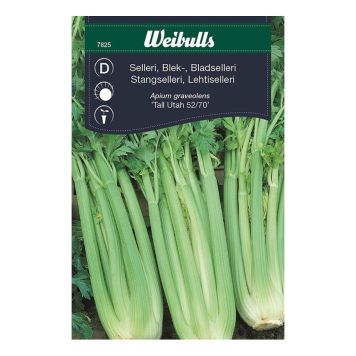 GRÖNSAKSFRÖ WEIBULLS SELLERI BLEK