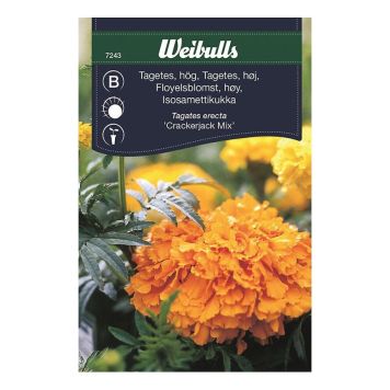 BLOMFRÖ WEIBULLS TAGETES HÖG BLAND