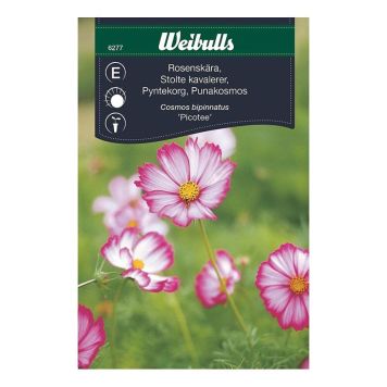 BLOMFRÖ WEIBULLS ROSENSKÄRA ROSA/VIT