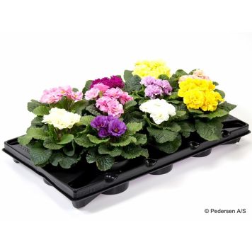 JORDVIVA 'PRINCESS' KRUKA 11CM