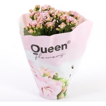 VÅRELD MÖRKROSA KRUKA 10,5CM