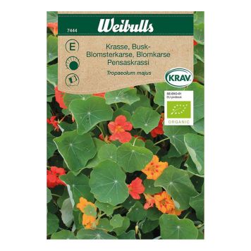 BLOMFRÖ WEIBULLS BUSKKRASSE KRAV