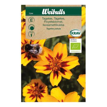 BLOMFRÖ WEIBULLS TAGETE LÅG KRAV