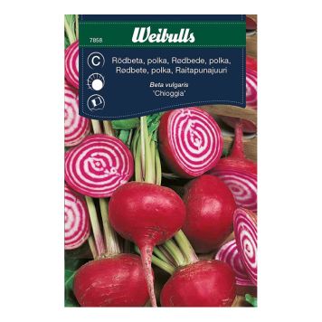 GRÖNSAKSFRÖ WEIBULLS RÖDBETA CHIOGGIA POLKABET