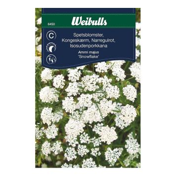 BLOMFRÖ WEIBULLS SPETSBLOMSTER SNOWFLAKE