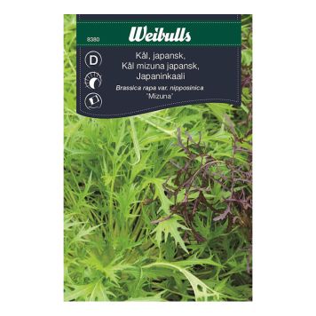 GRÖNSAKSFRÖ WEIBULLS KÅL MIZUNA ASIATISK