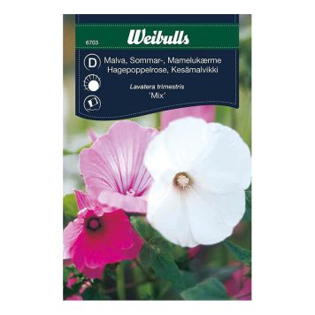 BLOMFRÖ WEIBULLS MALVA SOMMAR MIX