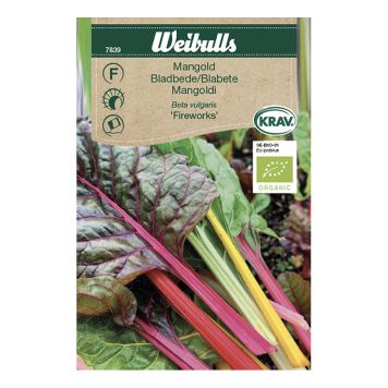 GRÖNSAKSFRÖ WEIBULLS MANGOLD FIREWORKS KRAV