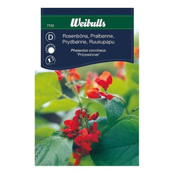 BLOMFRÖ WEIBULLS ROSENBÖNA PRIZEWINNER