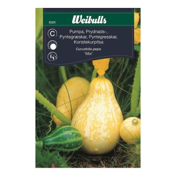 BLOMFRÖ WEIBULLS PUMPA PRYDNADS MIX