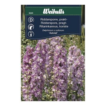 BLOMFRÖ WEIBULLS RIDDARSPORRE ASTOLAT