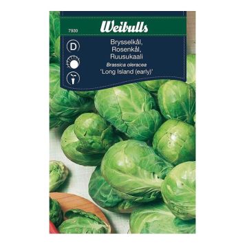 GRÖNSAKSFRÖ WEIBULLS BRYSSELKÅL