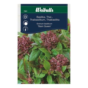 GRÖNSAKSFRÖ WEIBULLS BASILIKA THAI MAGIC