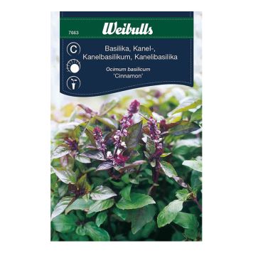 GRÖNSAKSFRÖ WEIBULLS BASILIKA KANEL