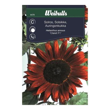 BLOMFRÖ WEIBULLS SOLROS CLARET F1