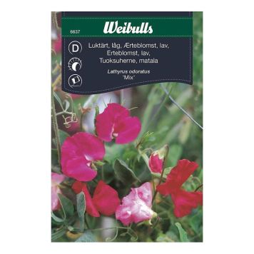 BLOMFRÖ WEIBULLS LUKTÄRT LÅG BLAND