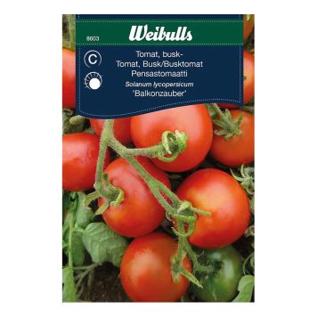 GRÖNSAKSFRÖ WEIBULLS KÖRSBÄRSTOMAT BALKONZAUBER