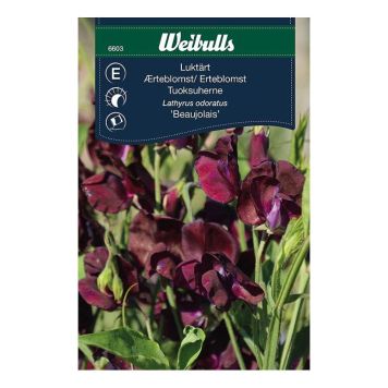 BLOMFRÖ WEIBULLS LUKTÄRT BEAUJOLAIS VINRÖD