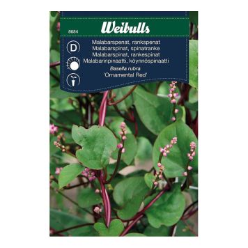 GRÖNSAKSFRÖ WEIBULLS SPENAT MALABAR ORNAMENTAL RED