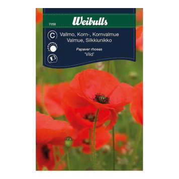 BLOMFRÖ WEIBULLS VALLMO VILD