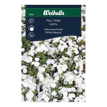 BLOMFRÖ WEIBULLS FLOX VIT WHITE BEAUTY