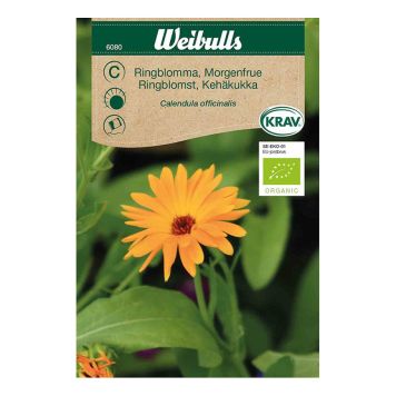 BLOMFRÖ WEIBULLS RINGBLOMMA KRAV