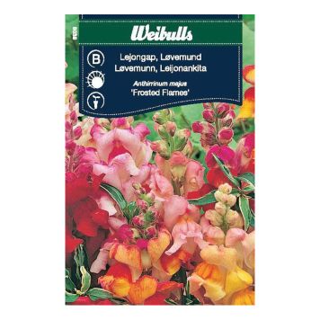 BLOMFRÖ WEIBULLS LEJONGAP FROSTEDFLAMES