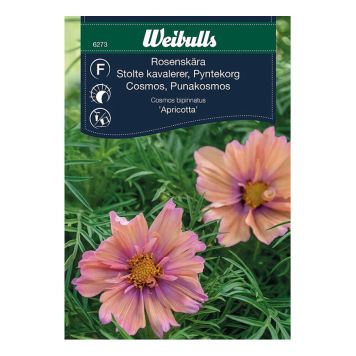BLOMFRÖ WEIBULLS ROSENSKÄRA APRICOTTA