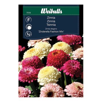 BLOMFRÖ WEIBULLS ZINNIA ZINDERELLA FASHION MIX